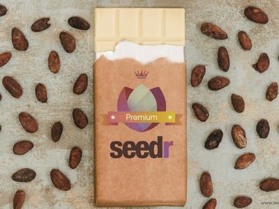 Good news: Two month of Seedr for free