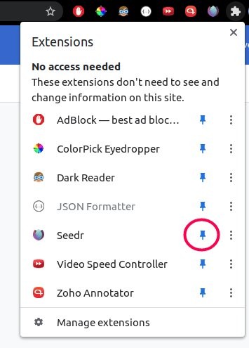 Seedr extension pinned to top