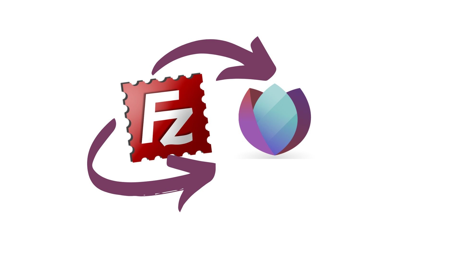 How To: Use Seedr over FTP, feat. FileZilla